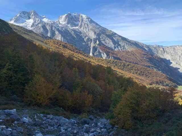 Cumbres De Picos La Yedra Apartment